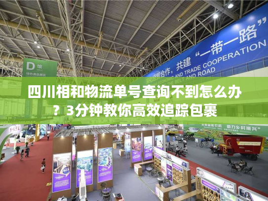四川相和物流单号查询不到怎么办？3分钟教你高效追踪包裹