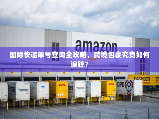 国际快递单号查询全攻略，跨境包裹究竟如何追踪？