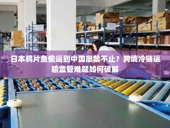 日本鸦片鱼偷运到中国屡禁不止？跨境冷链运输监管难题如何破解