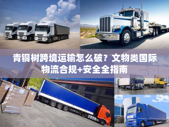 青铜树跨境运输怎么破？文物类国际物流合规+安全全指南
