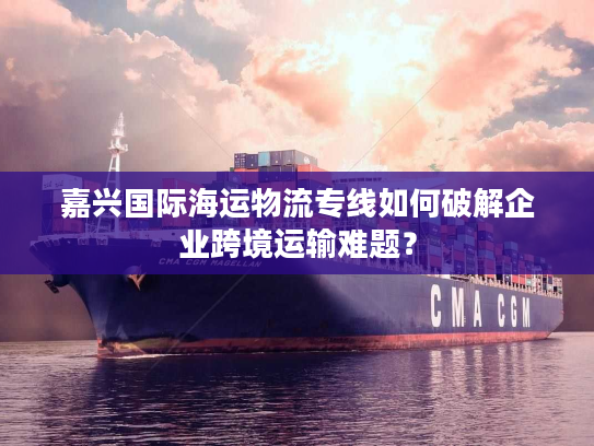 嘉兴国际海运物流专线如何破解企业跨境运输难题？