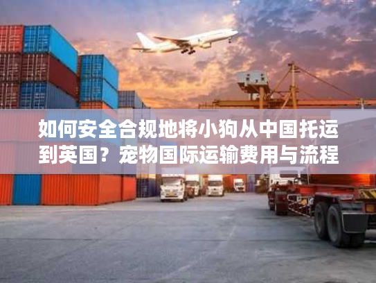 如何安全合规地将小狗从中国托运到英国？宠物国际运输费用与流程详解