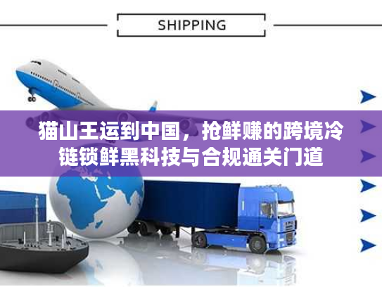 猫山王运到中国，抢鲜赚的跨境冷链锁鲜黑科技与合规通关门道