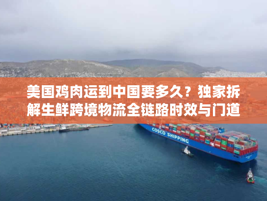 美国鸡肉运到中国要多久？独家拆解生鲜跨境物流全链路时效与门道