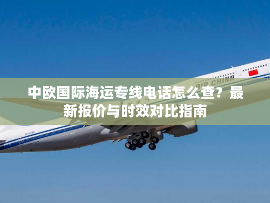 中欧国际海运专线电话怎么查?最新报价与时效对比指南 中欧国际海运专线电话怎么查?最新报价与时效对比指南