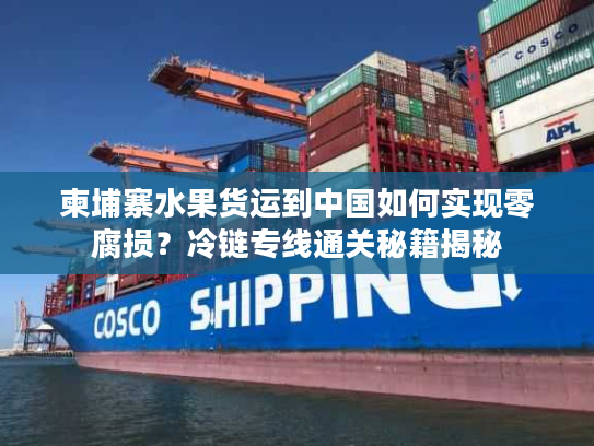 柬埔寨水果货运到中国如何实现零腐损？冷链专线通关秘籍揭秘