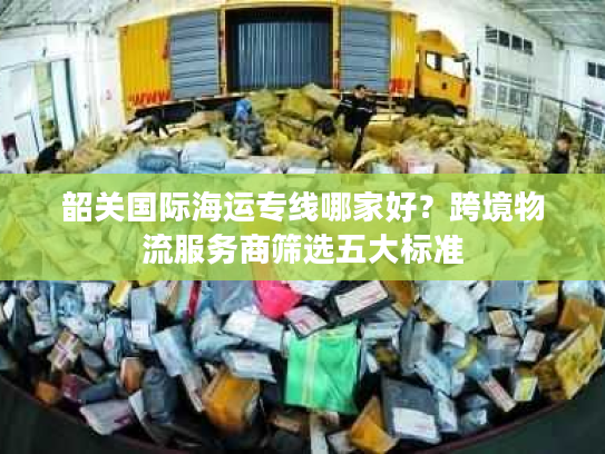 韶关国际海运专线哪家好？跨境物流服务商筛选五大标准
