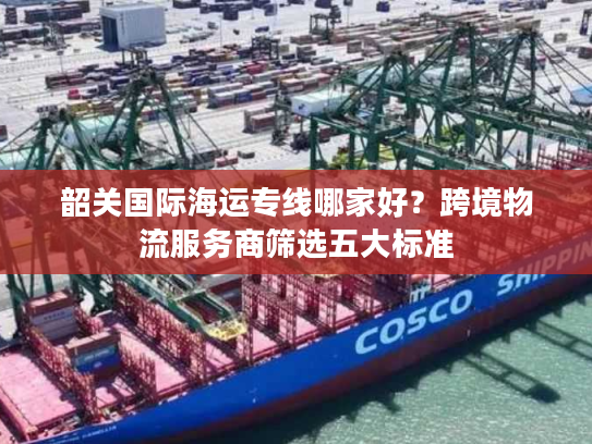 韶关国际海运专线哪家好？跨境物流服务商筛选五大标准