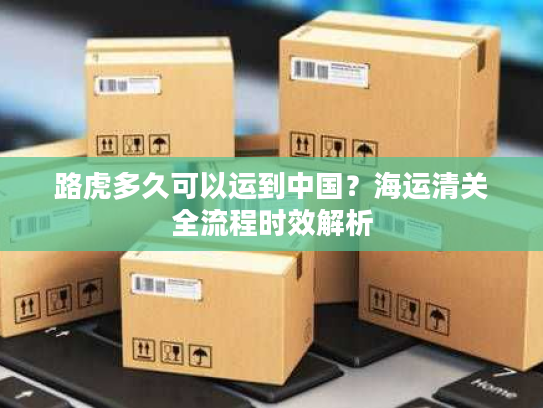 路虎多久可以运到中国？海运清关全流程时效解析