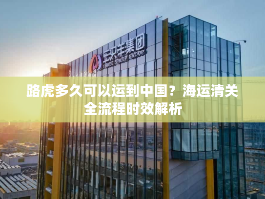 路虎多久可以运到中国？海运清关全流程时效解析