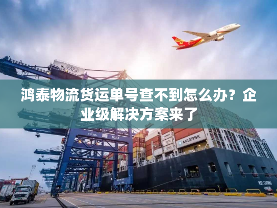鸿泰物流货运单号查不到怎么办？企业级解决方案来了