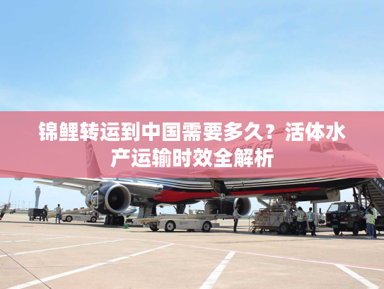 锦鲤转运到中国需要多久？活体水产运输时效全解析