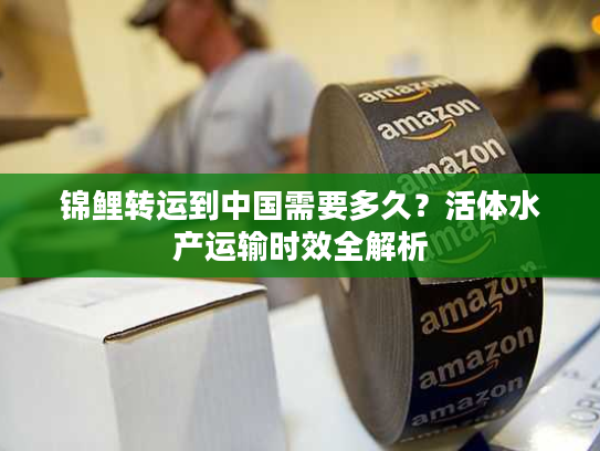 锦鲤转运到中国需要多久？活体水产运输时效全解析