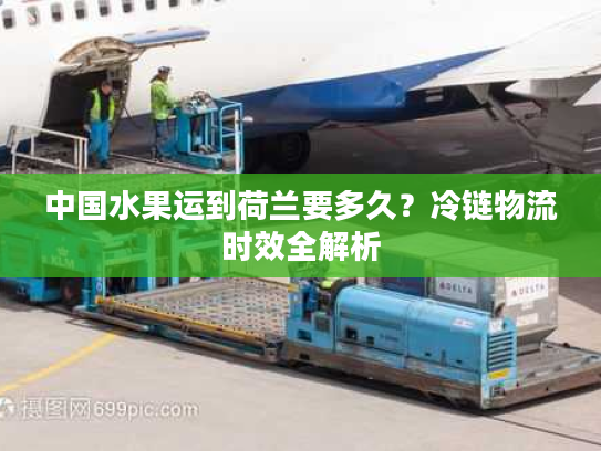 中国水果运到荷兰要多久？冷链物流时效全解析