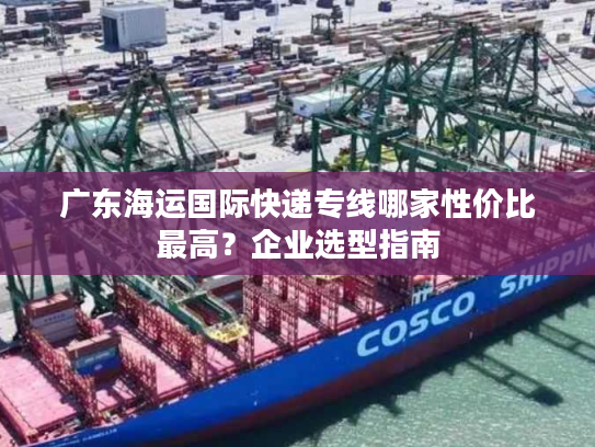 广东海运国际快递专线哪家性价比最高？企业选型指南