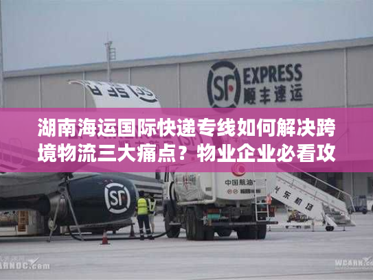 湖南海运国际快递专线如何解决跨境物流三大痛点？物业企业必看攻略