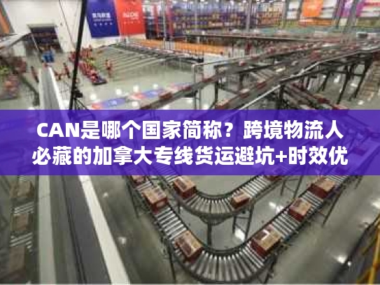 CAN是哪个国家简称？跨境物流人必藏的加拿大专线货运避坑+时效优化全攻略