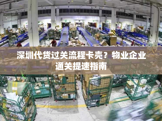 深圳代货过关流程卡壳？物业企业通关提速指南