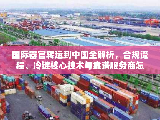 国际器官转运到中国全解析，合规流程、冷链核心技术与靠谱服务商怎么选？