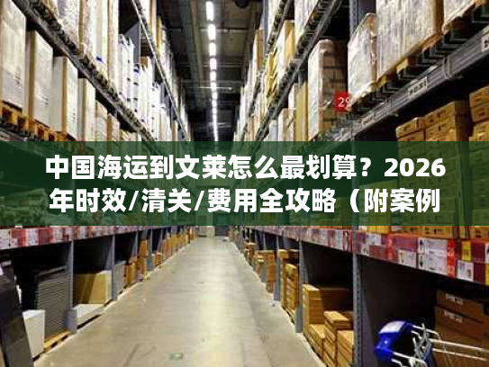中国海运到文莱怎么最划算?2026年时效/清关/费用全攻略(附案例) 中国海运到文莱怎么最划算?2026年时效/清关/费用全攻略(附案例)