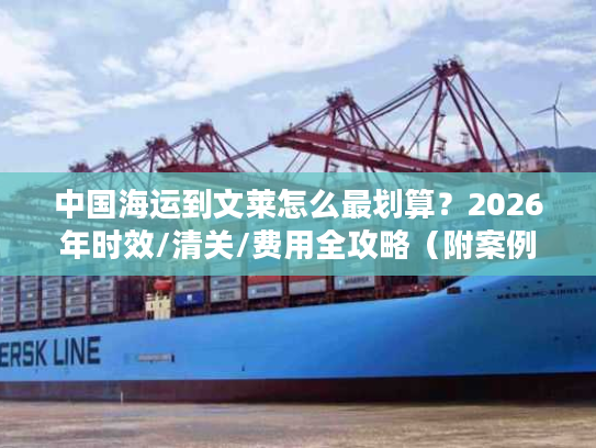 中国海运到文莱怎么最划算？2026年时效/清关/费用全攻略（附案例）