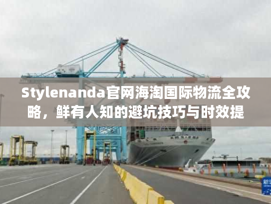 Stylenanda官网海淘国际物流全攻略，鲜有人知的避坑技巧与时效提速法
