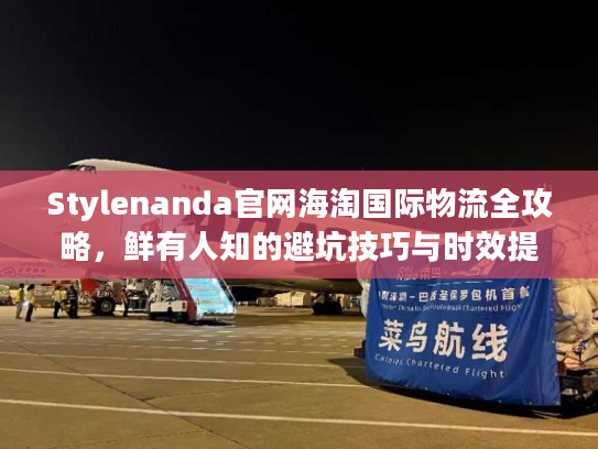 Stylenanda官网海淘国际物流全攻略，鲜有人知的避坑技巧与时效提速法