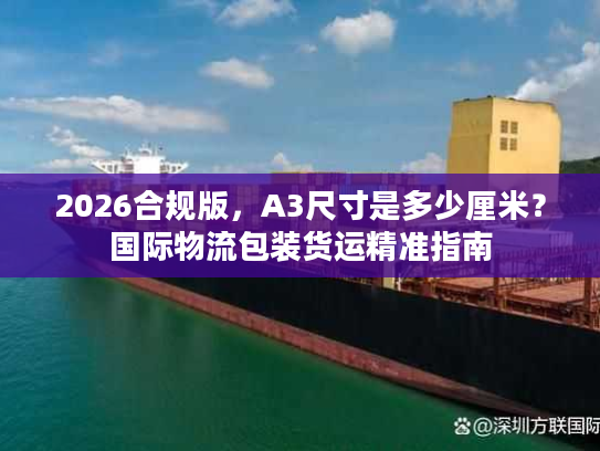 2026合规版，A3尺寸是多少厘米？国际物流包装货运精准指南