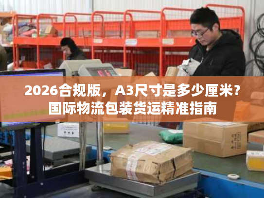 2026合规版，A3尺寸是多少厘米？国际物流包装货运精准指南