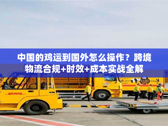 中国的鸡运到国外怎么操作?跨境物流合规+时效+成本实战全解 中国的鸡运到国外怎么操作?跨境物流合规+时效+成本实战全解