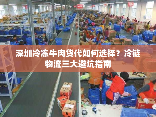 深圳冷冻牛肉货代如何选择？冷链物流三大避坑指南