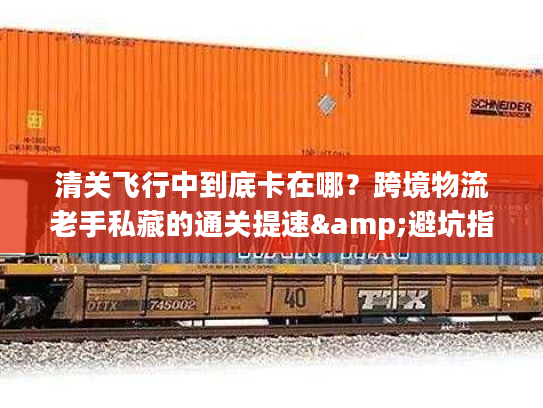 清关飞行中到底卡在哪？跨境物流老手私藏的通关提速&避坑指南