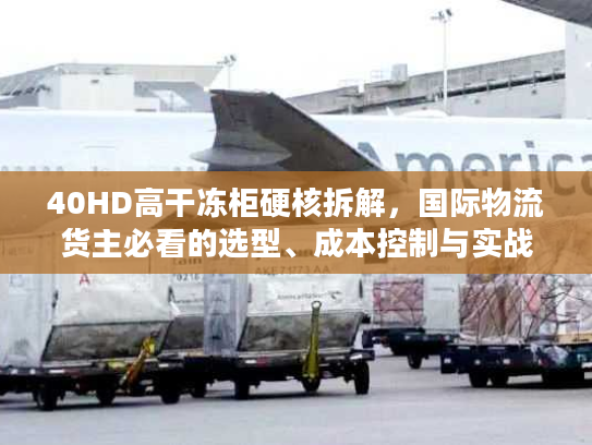 40HD高干冻柜硬核拆解,国际物流货主必看的选型、成本控制与实战避坑攻略 40HD高干冻柜硬核拆解,国际物流货主必看的选型、成本控制与实战避坑攻略