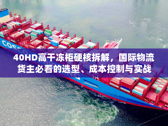 40HD高干冻柜硬核拆解，国际物流货主必看的选型、成本控制与实战避坑攻略