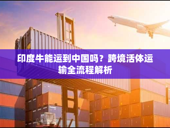 印度牛能运到中国吗？跨境活体运输全流程解析