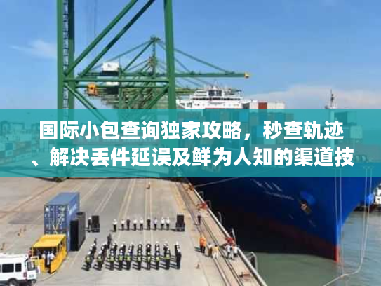 国际小包查询独家攻略，秒查轨迹、解决丢件延误及鲜为人知的渠道技巧