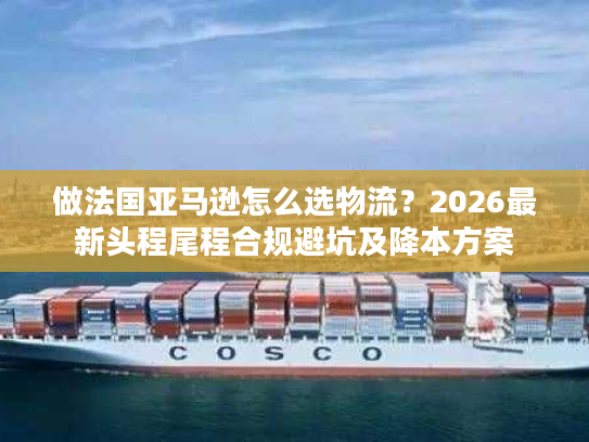 做法国亚马逊怎么选物流？2026最新头程尾程合规避坑及降本方案