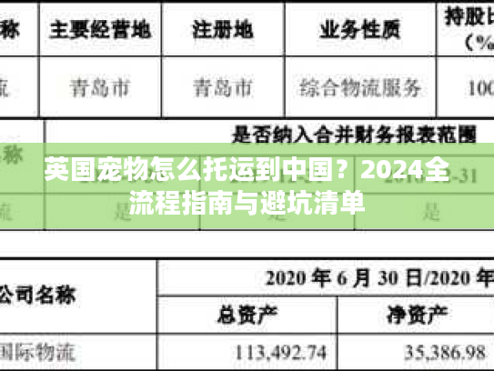 英国宠物怎么托运到中国？2024全流程指南与避坑清单