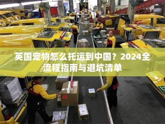 英国宠物怎么托运到中国？2024全流程指南与避坑清单