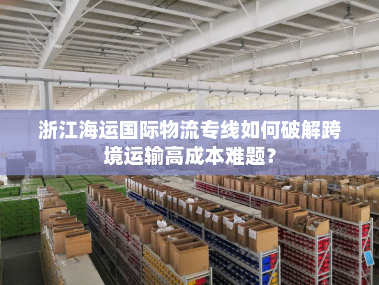 浙江海运国际物流专线如何破解跨境运输高成本难题？