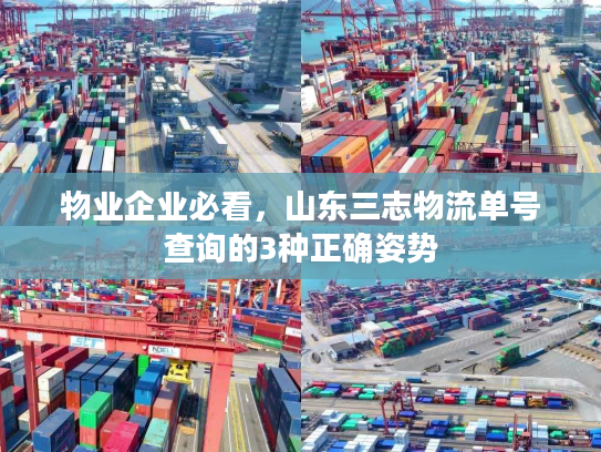 物业企业必看，山东三志物流单号查询的3种正确姿势