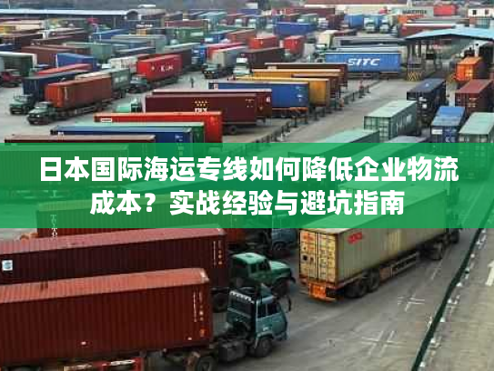 日本国际海运专线如何降低企业物流成本?实战经验与避坑指南 日本国际海运专线如何降低企业物流成本?实战经验与避坑指南