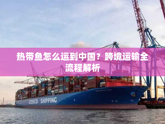 热带鱼怎么运到中国？跨境运输全流程解析