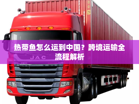热带鱼怎么运到中国？跨境运输全流程解析