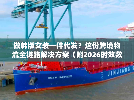 做韩版女装一件代发？这份跨境物流全链路解决方案（附2026时效数据）