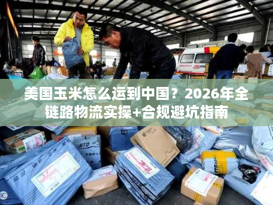 美国玉米怎么运到中国？2026年全链路物流实操+合规避坑指南