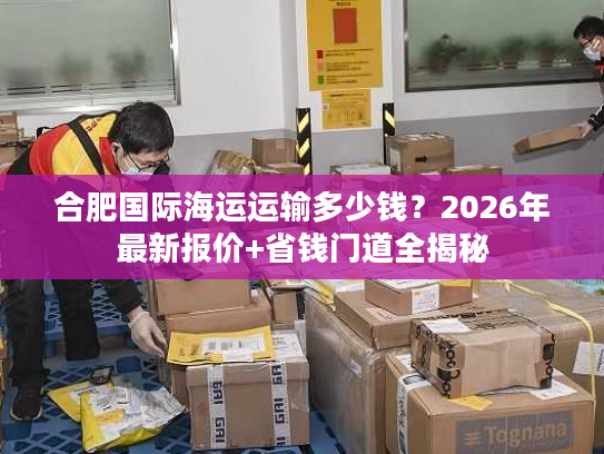 合肥国际海运运输多少钱？2026年最新报价+省钱门道全揭秘