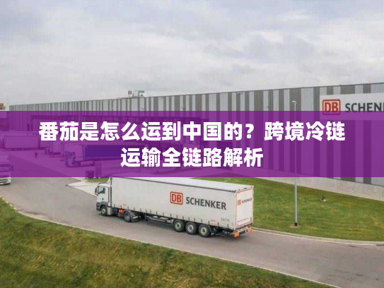 番茄是怎么运到中国的？跨境冷链运输全链路解析