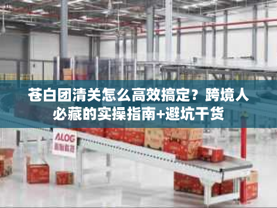 苍白团清关怎么高效搞定？跨境人必藏的实操指南+避坑干货