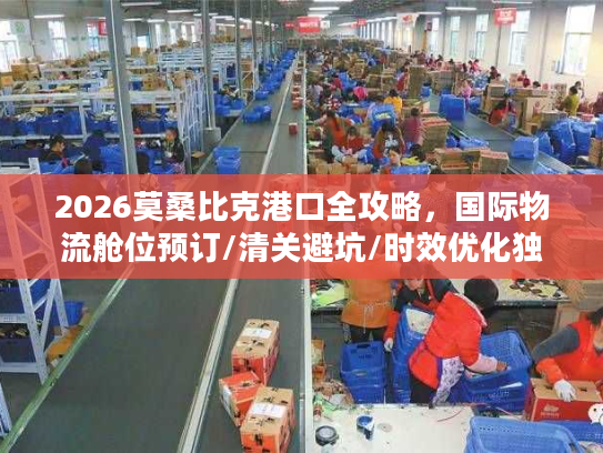 2026莫桑比克港口全攻略，国际物流舱位预订/清关避坑/时效优化独家指南